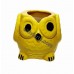 Small Owl Pot