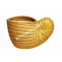 Snail Pot